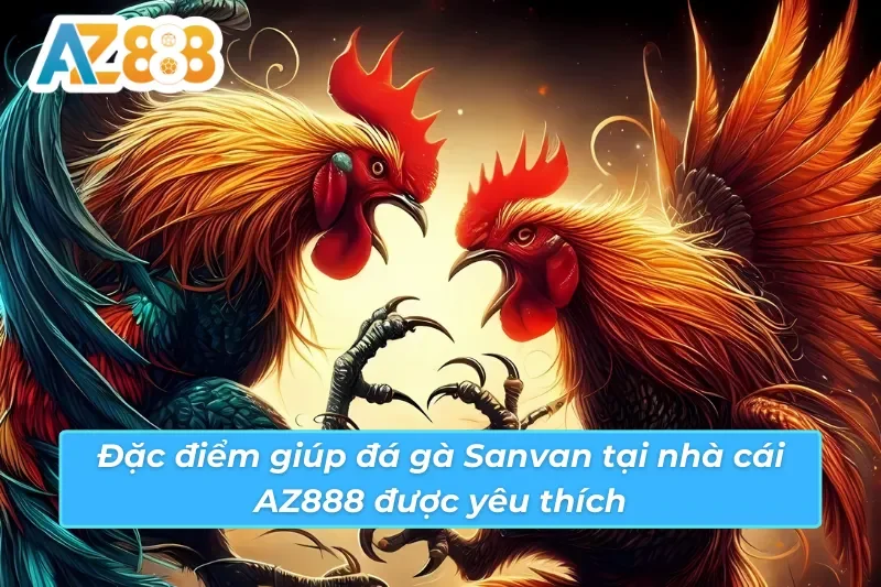 Đá Gà Savan AZ888 - Loại Hình Đặc Biệt Thu Hút Mọi Ánh Mắt 3 Điểm nổi bật giúp đá gà Savan AZ888 thu hút lượt truy cập khủng