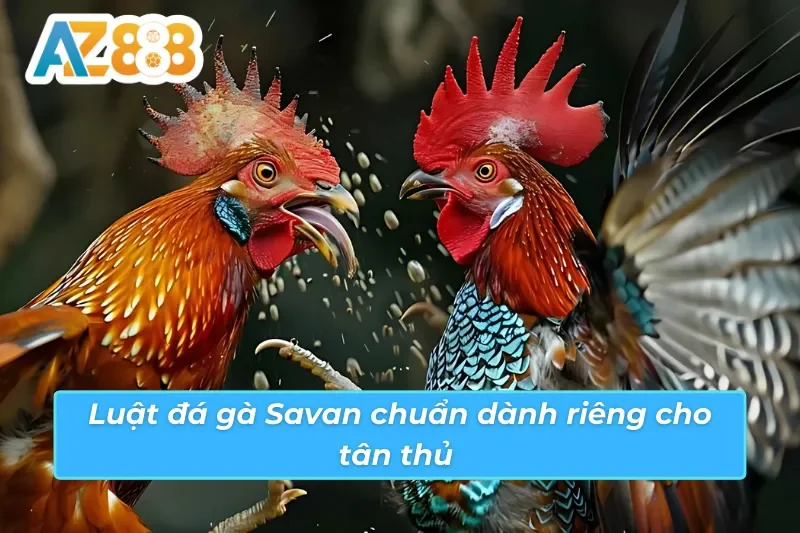 Đá Gà Savan AZ888 - Loại Hình Đặc Biệt Thu Hút Mọi Ánh Mắt 4 Quy định tham gia đá gà Savan AZ888 chuẩn bạn cần biết