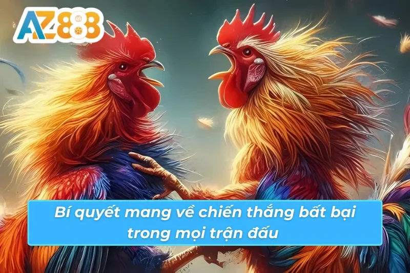 Đá Gà Savan AZ888 - Loại Hình Đặc Biệt Thu Hút Mọi Ánh Mắt 5 Kinh nghiệm từ cao thủ mang về thắng lớn trong đá gà Savan AZ888