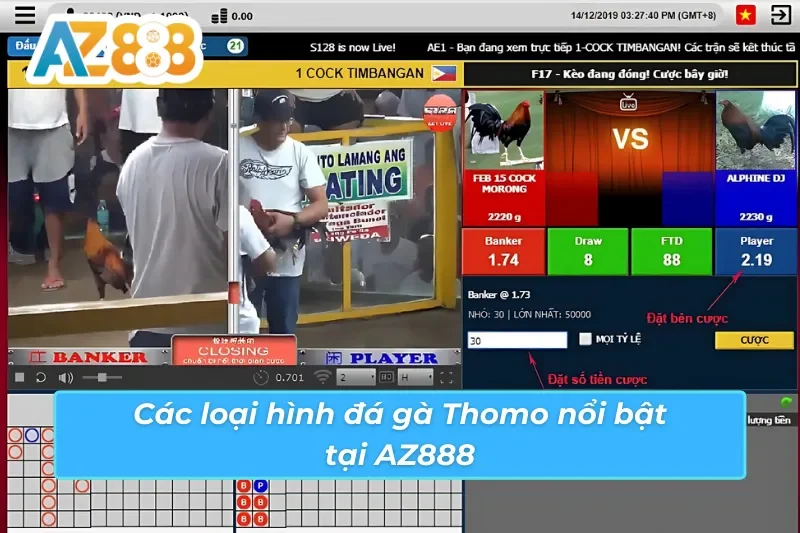 Đá Gà Thomo AZ888: Lựa Chọn Tiềm Năng Cho Dành Mọi Cược Thủ 3 Tổng hợp các loại hình đá gà Thomo AZ888 phổ biến