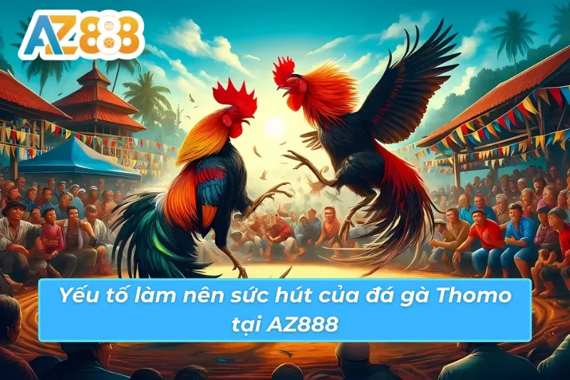 Đá Gà Thomo AZ888: Lựa Chọn Tiềm Năng Cho Dành Mọi Cược Thủ 6 Đá gà Thomo AZ888 và những điểm nhấn cuốn hút